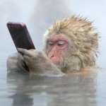 Finalists Of The 2014 Wildlife Photographer Of The Year 1dut.com (28)