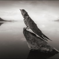 Most Awesome Natural Phenomena HD photos 1dut.com19 - LRuQnyJ