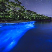 Most Awesome Natural Phenomena HD photos 1dut.com21 - Bioluminescent Waves Vaadhoo Island Maldives